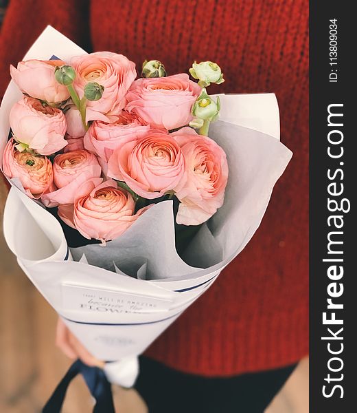 Person Wearing Red Sweater and Black Pants Holding Bouquet of Pink Flowers