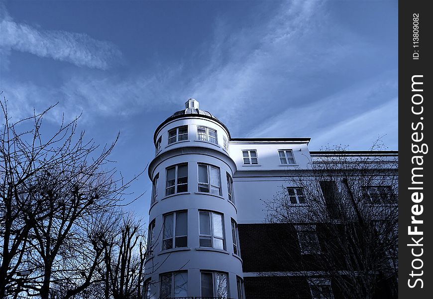 White 4-storey Mansion Surrounded by Bald Trees