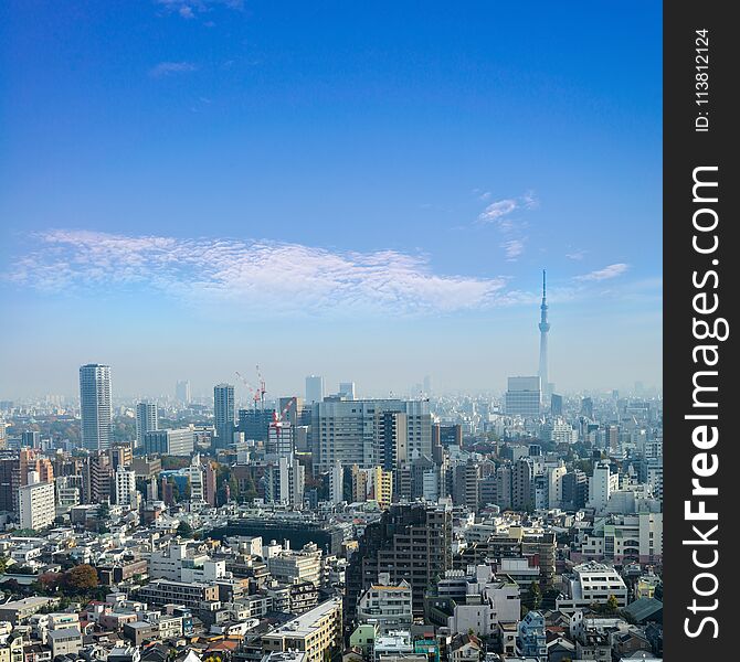 Cityscapes of tokyo in Fog after rain in winter season, Skyline