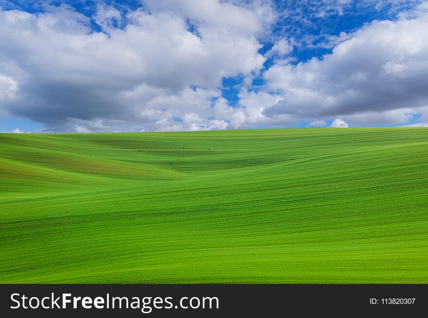 Famous moravian fields - Czech Republic - nature and travel background