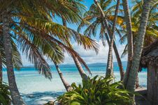 Free Palm Trees Hut And Ocean - Tropical Island Landscape - Stock Photos - 113832223