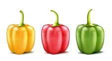 Vector Set Of Three Realistic Bell Peppers Stock Photos