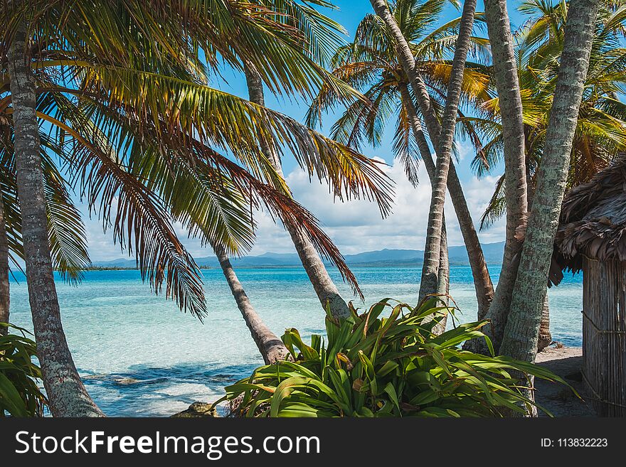Palm trees hut and ocean - tropical island landscape -