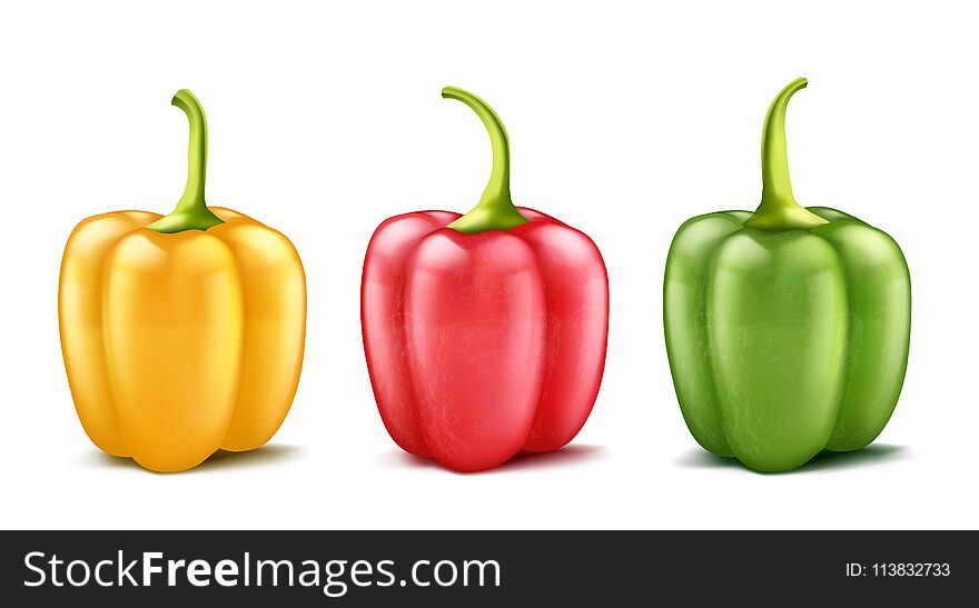 Vector set of three realistic bell peppers or bulgarian, red, green and yellow isolated on background. Whole pod of sweet pepper, vegetable for cooking and eating, organic food for vegetarians