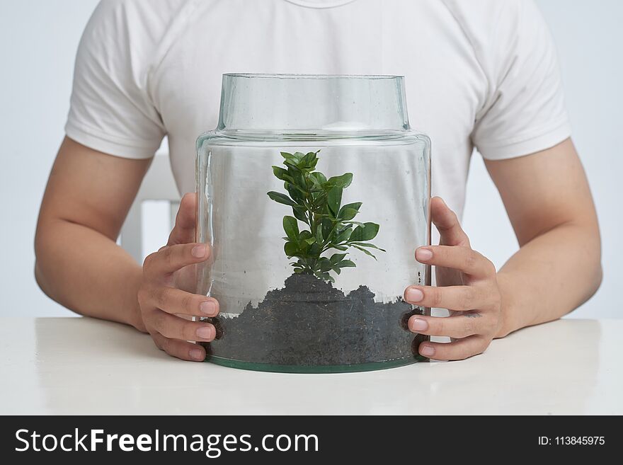 Cropped image of man caring about plant under glass dome. Cropped image of man caring about plant under glass dome