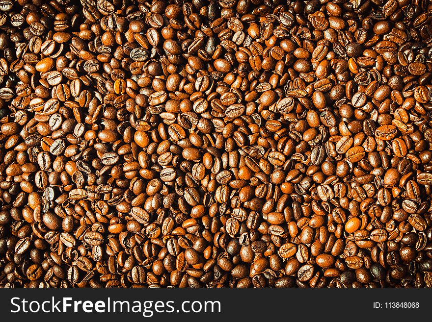 Brown coffee beans textures and surface for background and copy space for tex. Brown coffee beans textures and surface for background and copy space for tex