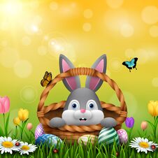Cute Easter Bunny In A Basket With Colorful Eggs On The Grass Royalty Free Stock Images Cute Easter Bunny In A Basket With Colorful Eggs On The Grass Royalty Free Stock Images