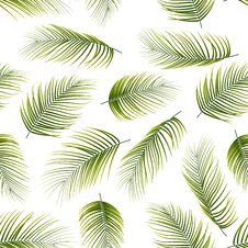 Seamless Pattern With Palm Leaves Background Royalty Free Stock Image