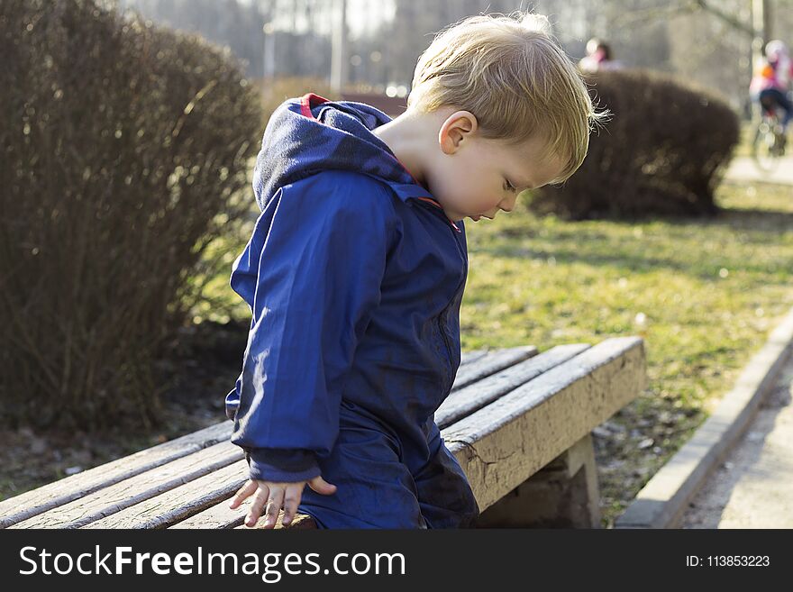 Adorable little toddler boy sitting on a bench at spring or autumn.