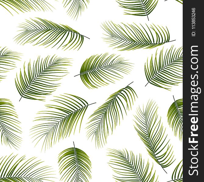 Illustration of Seamless pattern with palm leaves background