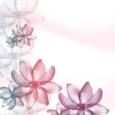 Floral Background. Invitation, Wedding, Paper Cards Decorative Pattern.Border Or Frame And Copy Space. Texture. Edge, Element. Royalty Free Stock Photos Floral Background. Invitation, Wedding, Paper Cards Decorative Pattern.Border Or Frame And Copy Space. Texture. Edge, Element. Royalty Free Stock Photos