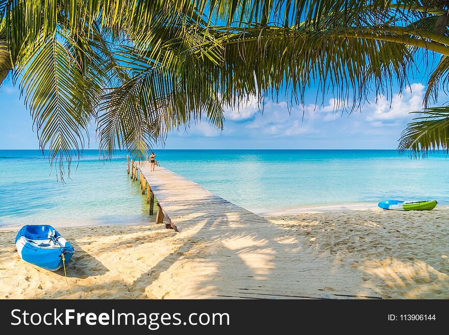 Beautiful tropical beach and sea with coconut palm tree in paradise island - Holiday Vacation concept