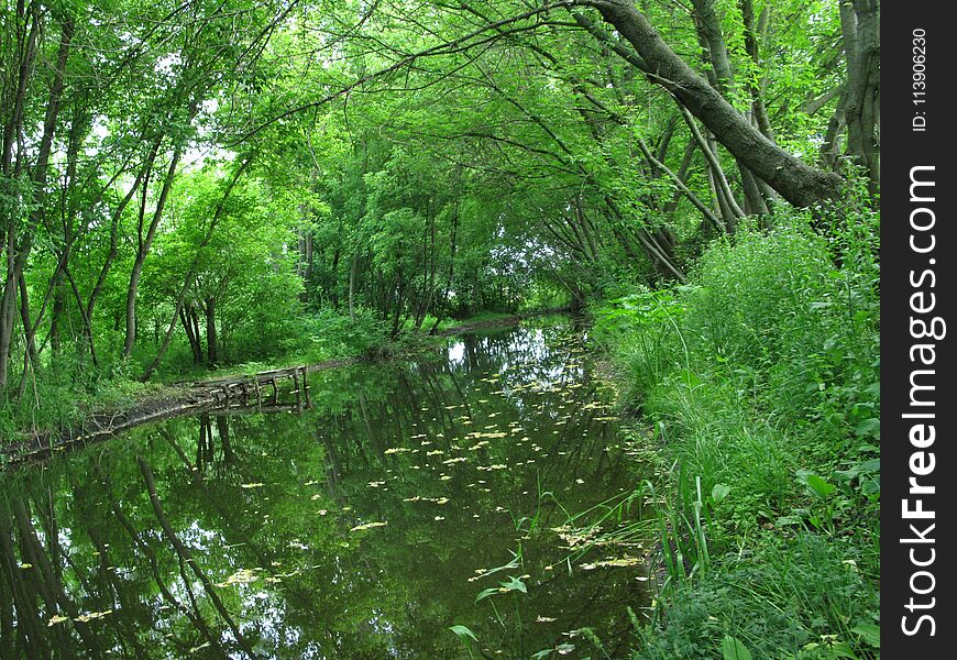 Summer cloudy day, a green thickets on the shores of a small river. Summer cloudy day, a green thickets on the shores of a small river