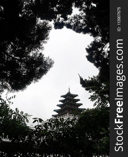 Photography of Black and White Temple