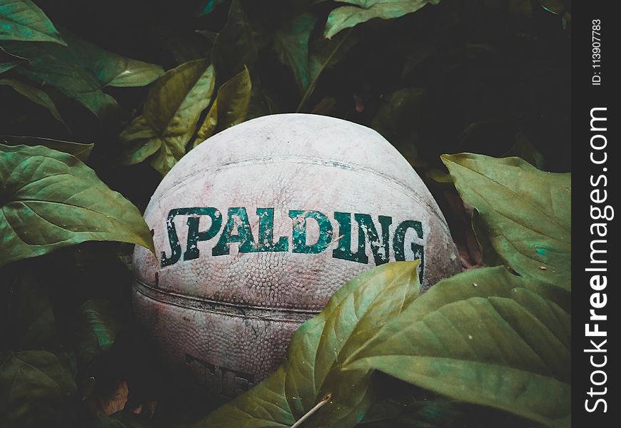 Photo of Old Spalding Ball