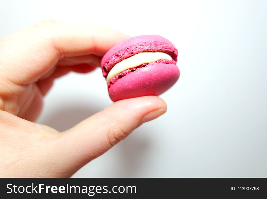 Person Holding Macaroon