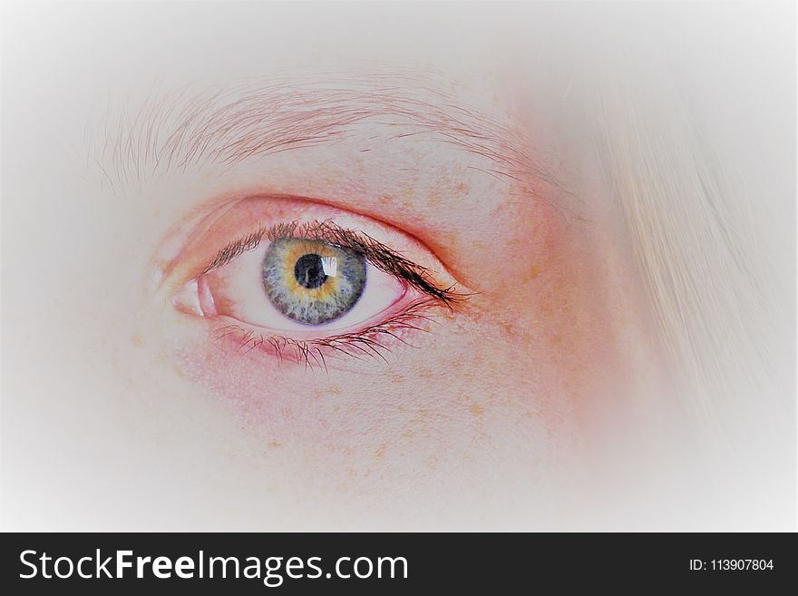 Human Eye Painting