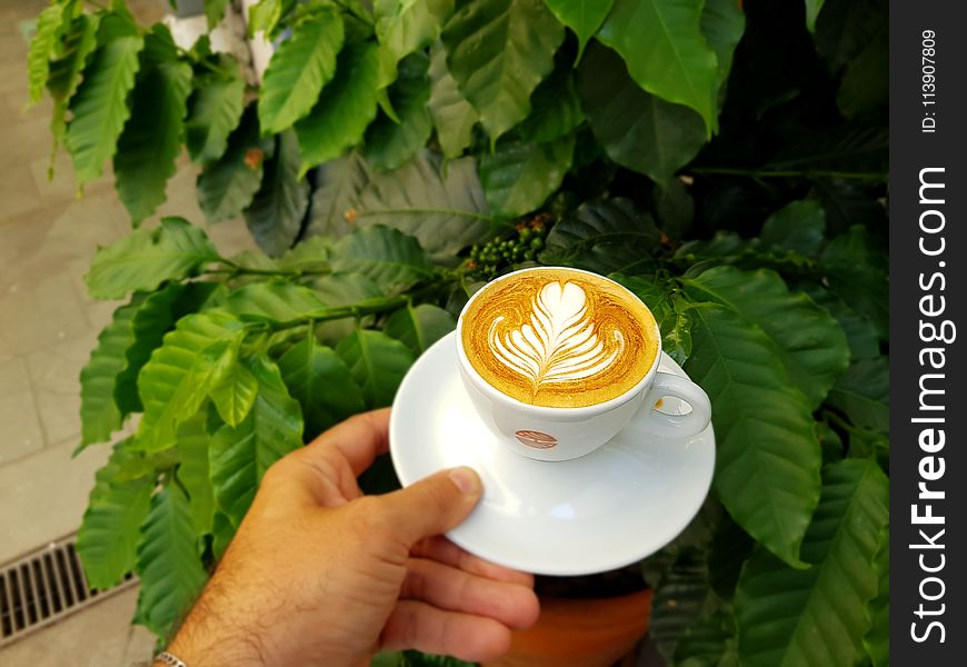 Person Holding White Ceramic Cup