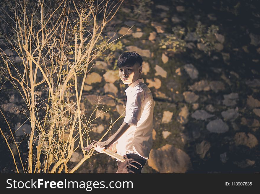 Boy In White Collared Shirt Standing Infront Of Tree