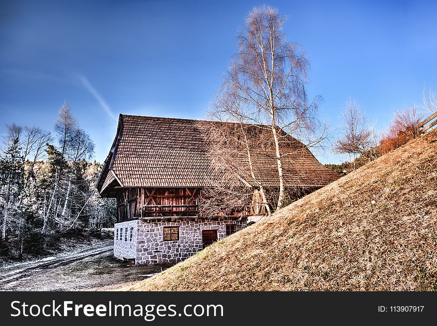 Brown Roof House Near Withered Trees Photography