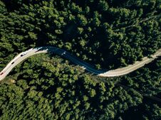 Aerial View Of Curve Road On The Mountain With Green Forest In Greece Royalty Free Stock Images