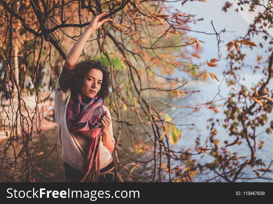 Woman Standing Beside Bare Tree Near Body Of Water