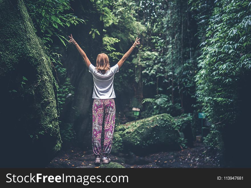 Woman With Raising Arms Facing Pathway Between Forest Trees