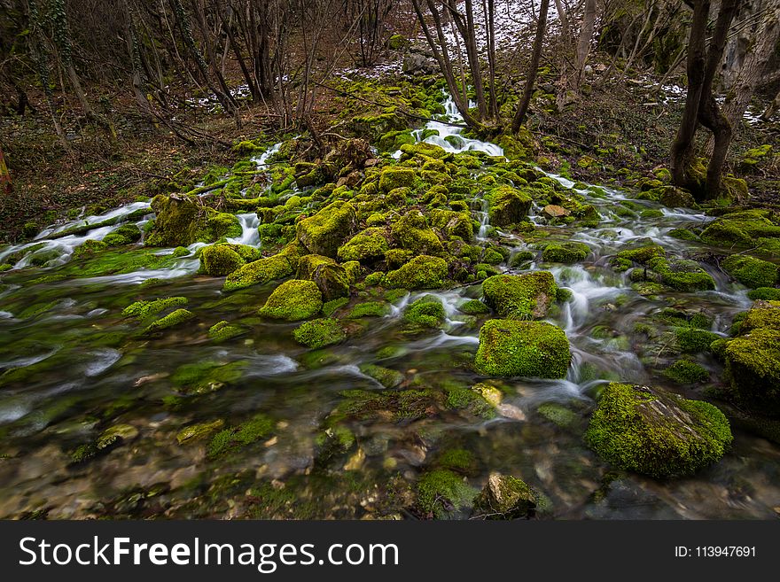Flowing River and Moss Covered Rocks