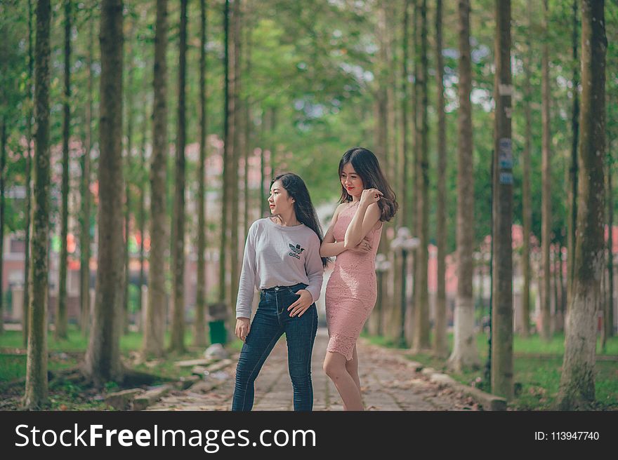 Woman in Pencil Dress Beside Woman in Gray Sweatshirt and Blue Jeans Standing on Pathway