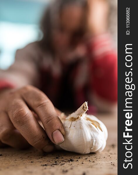 Dirty hand of a man covered in soil with a fresh bulb of garlic and scattered earth on a rustic wooden table in a close up view. Dirty hand of a man covered in soil with a fresh bulb of garlic and scattered earth on a rustic wooden table in a close up view.