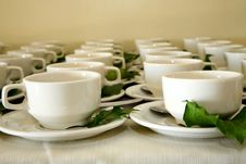 Cup Rows Stock Images Cup Rows Stock Images