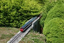 Model Of Train Between Miniature Firs Stock Image Model Of Train Between Miniature Firs Stock Image