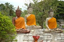 Buddhas Stock Image Buddhas Stock Image