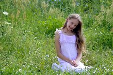 Beauty Girl Royalty Free Stock Photo Beauty Girl Royalty Free Stock Photo