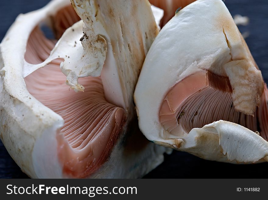 Mushrooms champignons-natural, which have grown in a wood without fertilizers and consequently especially tasty
