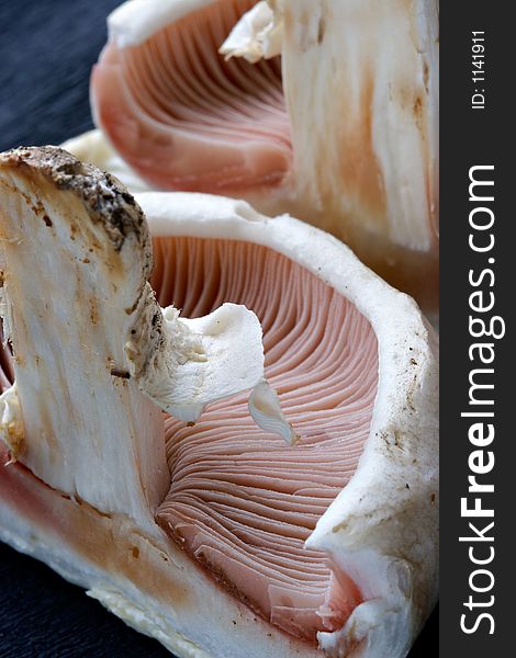 Mushrooms champignons-natural, which have grown in a wood without fertilizers and consequently especially tasty