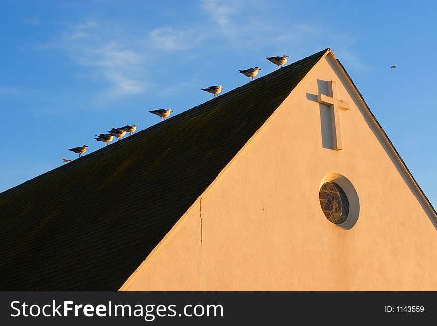Seagulls on church roof at sunset against blue sky