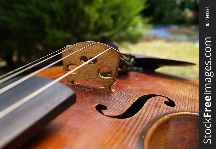 Closeup of a violin