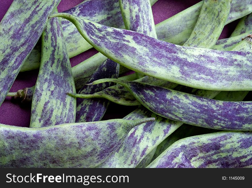 Large multi-coloured pods of a string bean. Large multi-coloured pods of a string bean