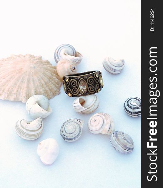 Shells and ring on white-blue background. Shells and ring on white-blue background