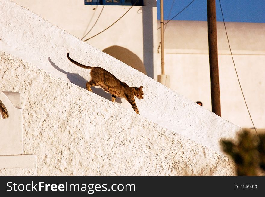 Santorin, greek, holiday, church