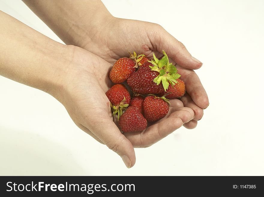Hand holds the strawberries. Hand holds the strawberries