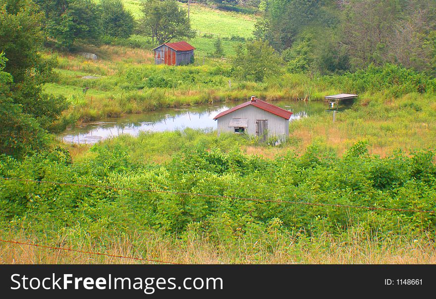 This lovely scene was taken on the Blue Ridge Parkway in Virginia. This lovely scene was taken on the Blue Ridge Parkway in Virginia.