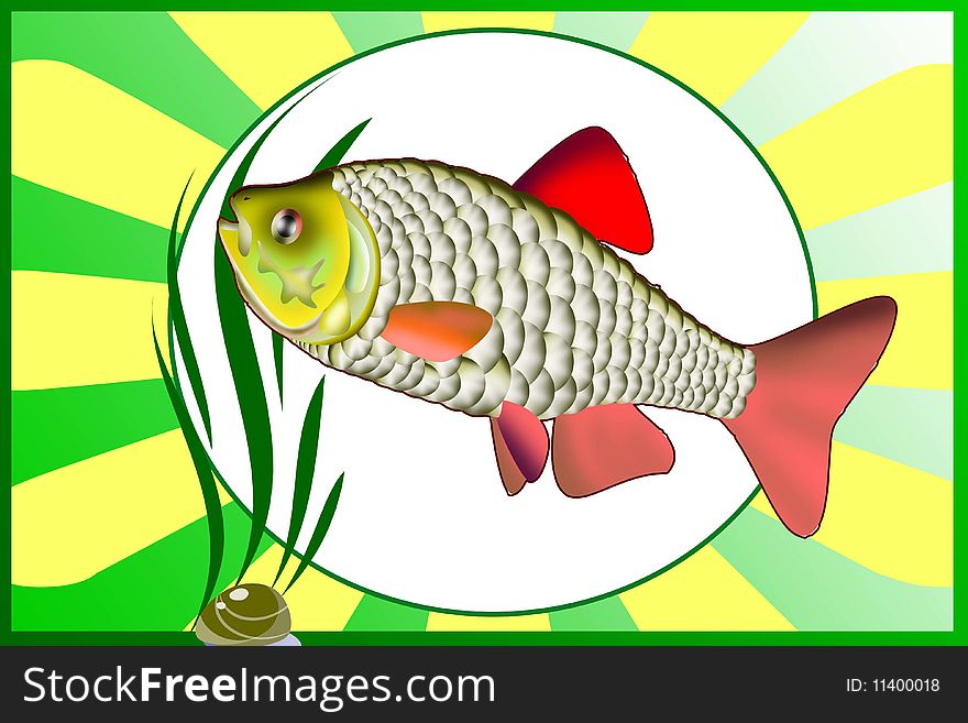 Colored Illustration Of Fish