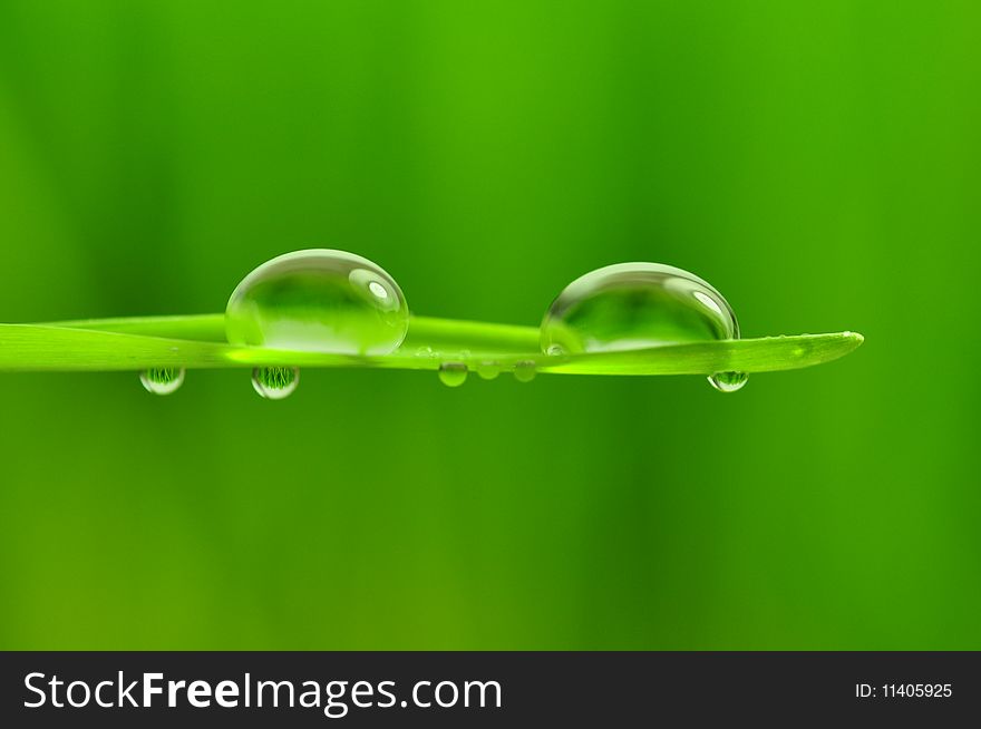 Drops on green blurred background. Drops on green blurred background