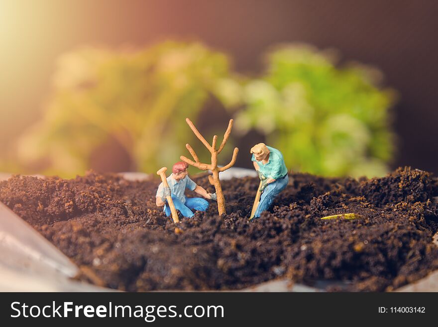 Two miniature figure people planting tree. Two miniature figure people planting tree