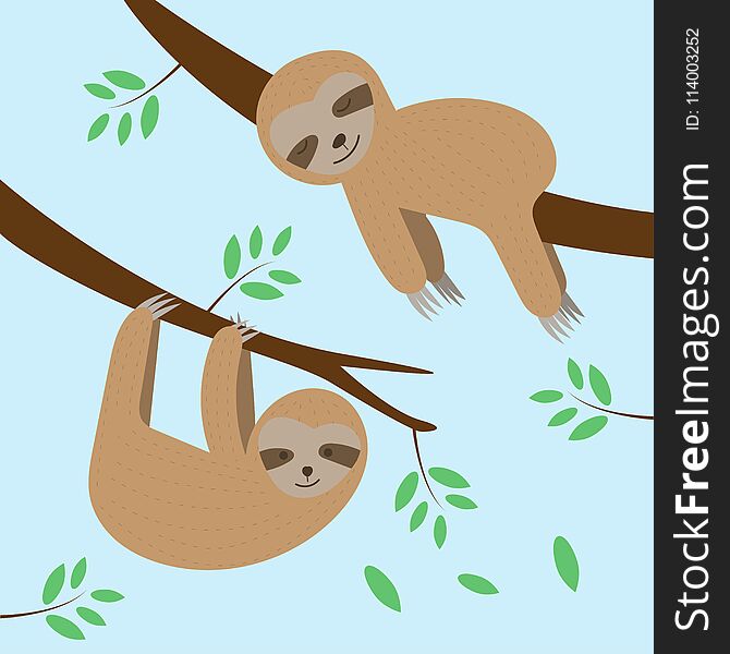 Cute sloths cartoon sleeping and hanging on tree branch.