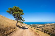 Beach Road Royalty Free Stock Photography Beach Road Royalty Free Stock Photography