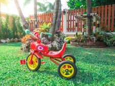 Red Bike Tricycle In The Garden Park Playground At Home Flare Light Green Grass. Royalty Free Stock Image