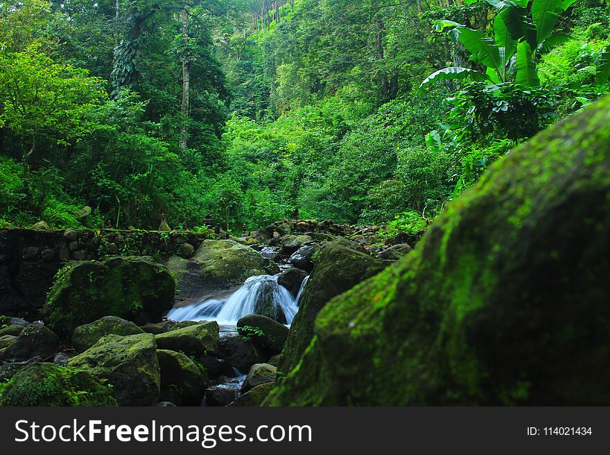 09/04/2018,Beautiful scenery around the trees are still natural and in the clear water.java indonesia. 09/04/2018,Beautiful scenery around the trees are still natural and in the clear water.java indonesia